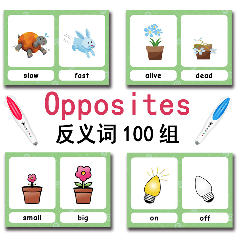 The 100 Groups Opposites Flash - огляд і ціна Kids Education Gift