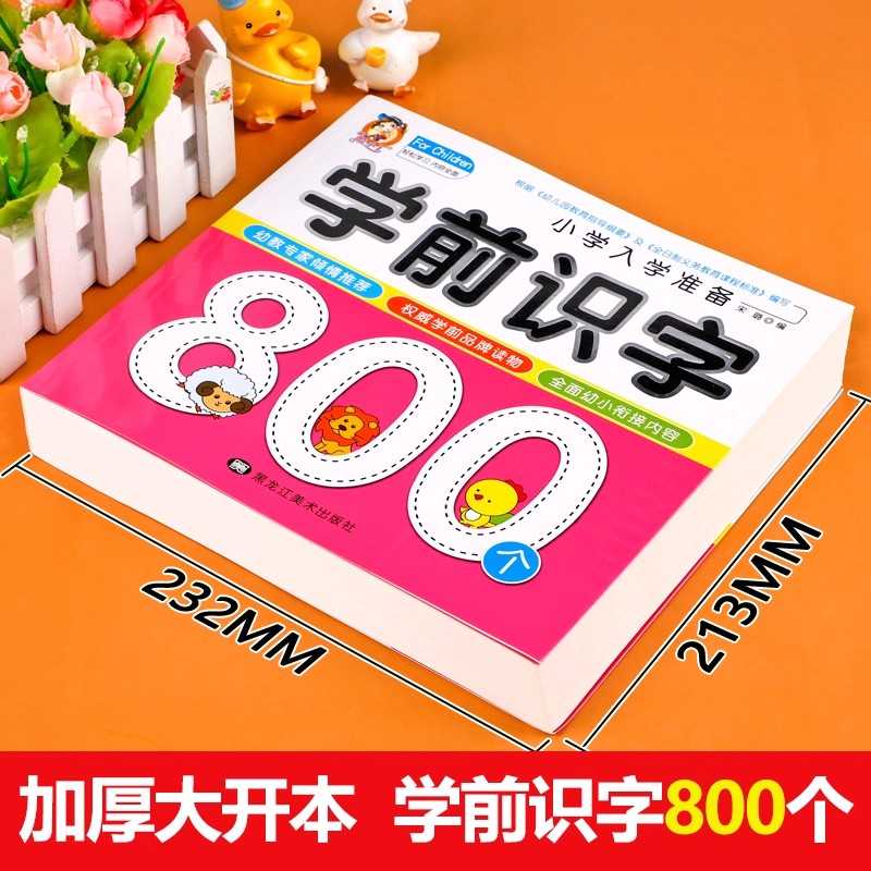 Preschool Literacy: 800 Chines - огляд і ціна Kids Education Book