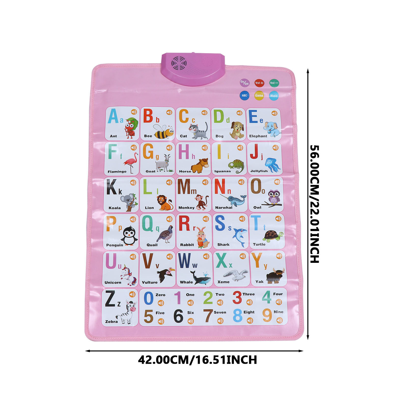 1Pcs Lightweight Rollable Engl - огляд і ціна Kids Education Charts